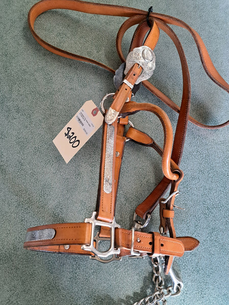 Champion Turf Show Halter