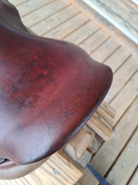 15.5" CWD SE02 Jump