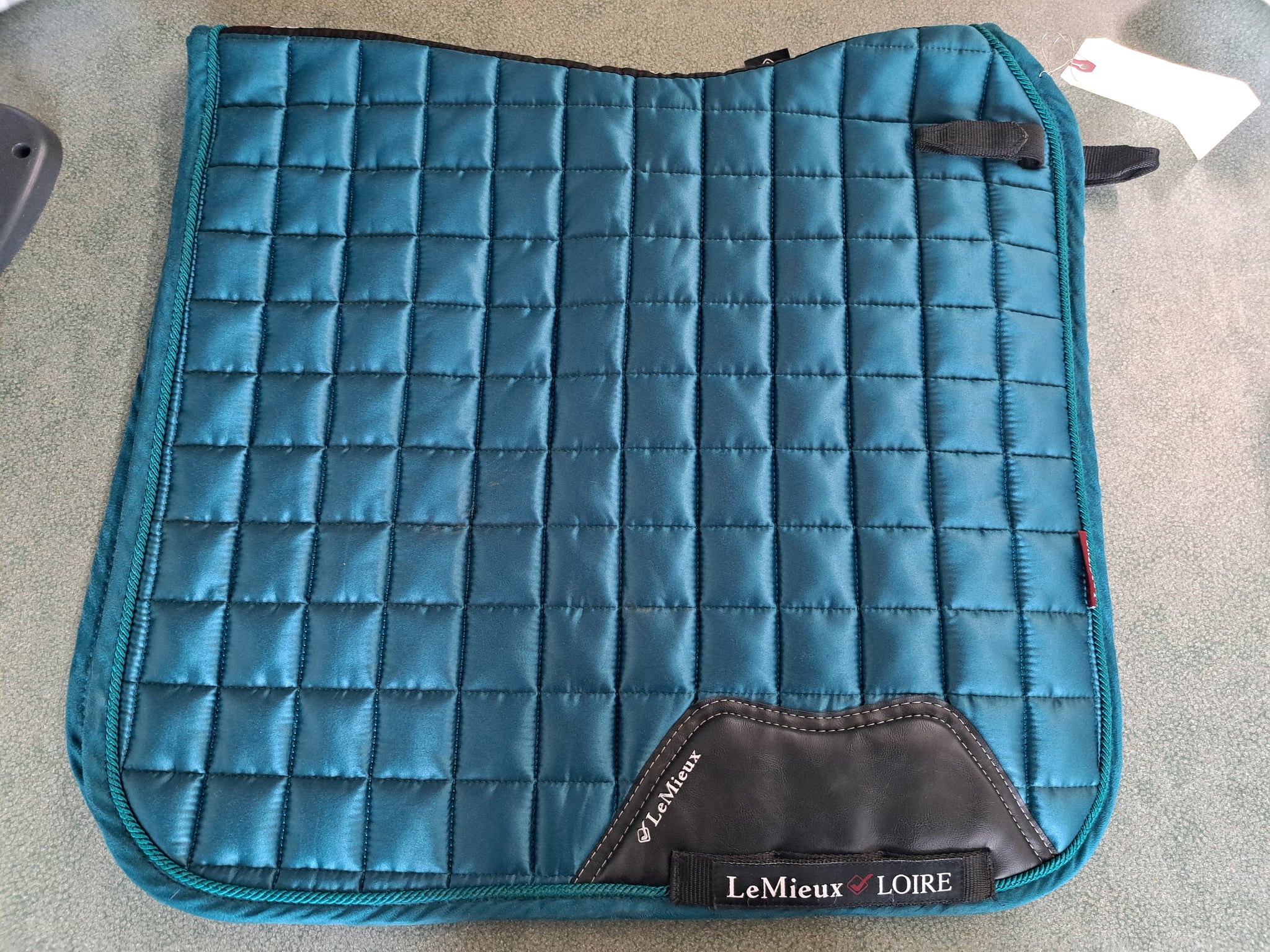 Lemieux Loire Dressage Bad