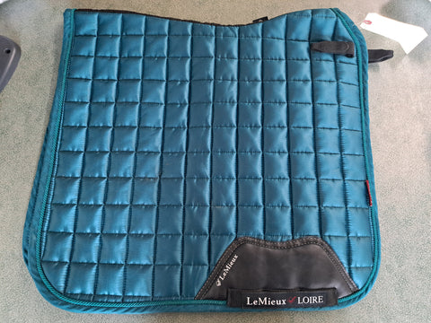 Lemieux Loire Dressage Bad