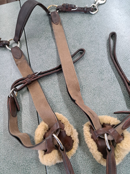 5 Point Breastplate
