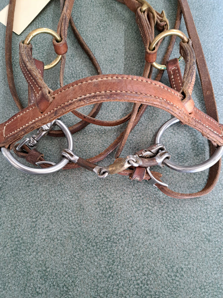 Hybrid Training Bridle