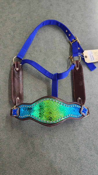 New Bronc Halter