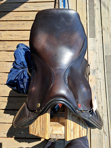 17" Albion Lengend