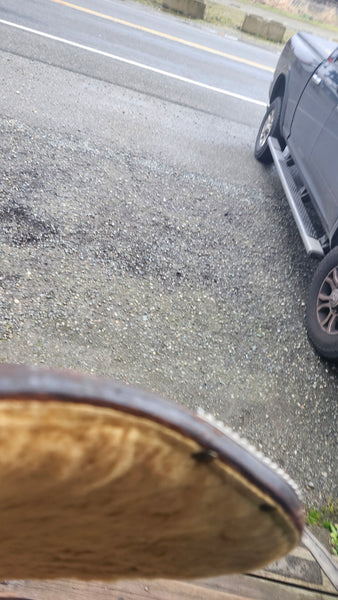 17" Silver Mesa Equitation Saddle