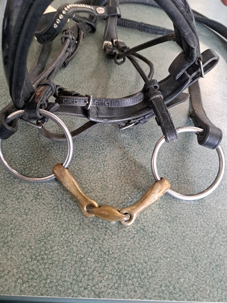 Dy'on Anatomic Bridle