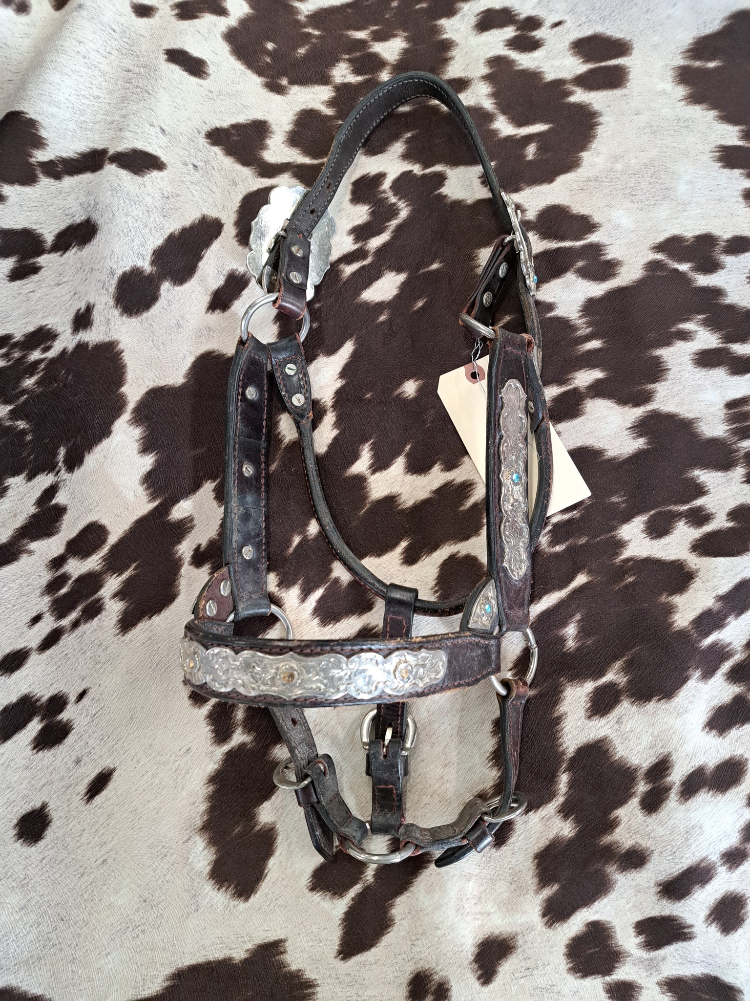 Showmanship Halter