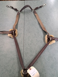 5 Point Breastplate
