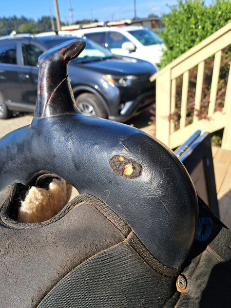 15" Abetta Cordura Western Saddle