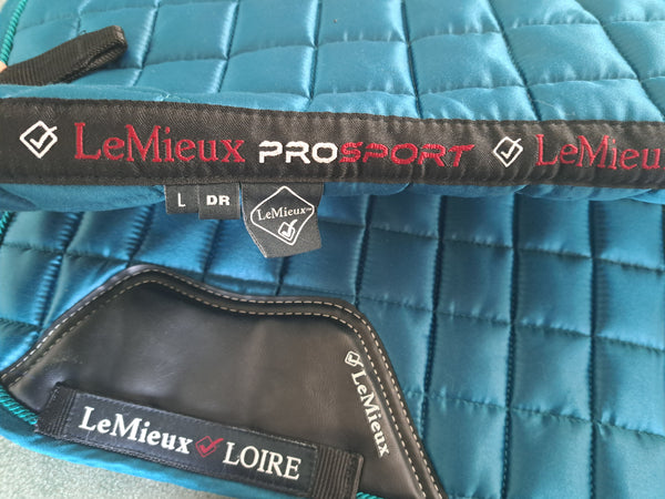 Lemieux Loire Dressage Bad