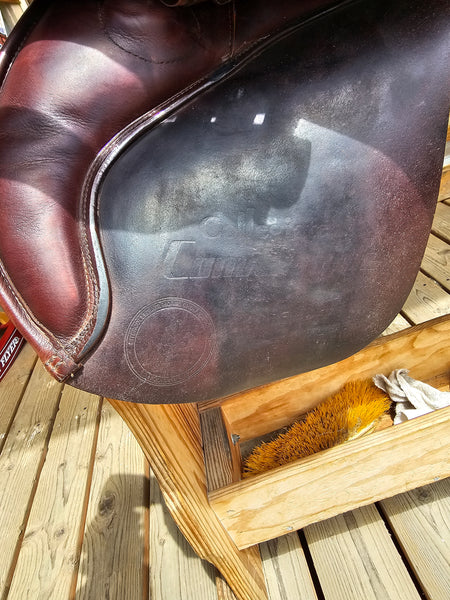 16.5" Collegiate Convertible Jump Saddle