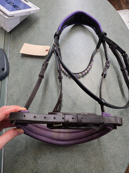 Custom Dressage Bridle