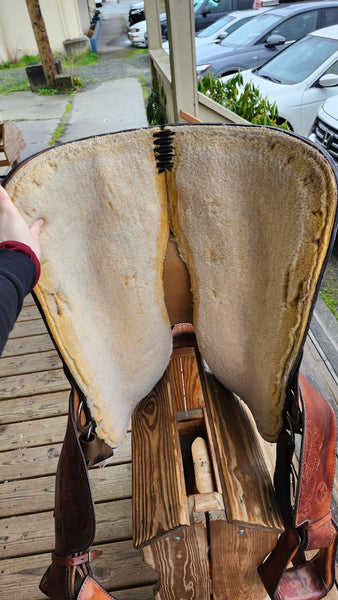 16" Circle Y Western Equitation Show Saddle