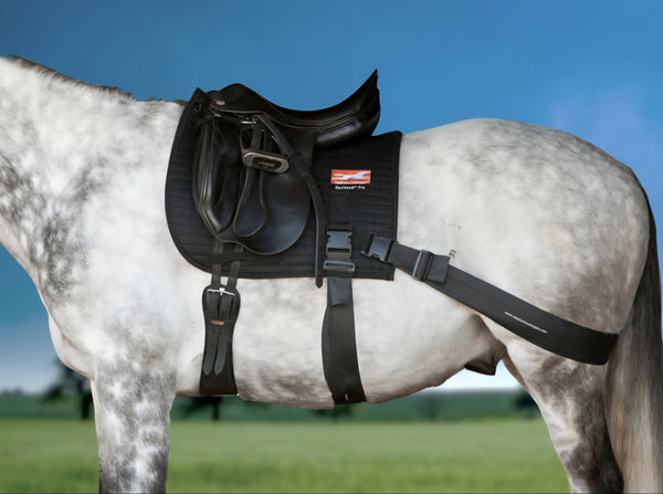 Equicore Equiband Pro System