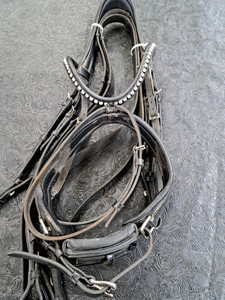 Passier Dressage Bridle