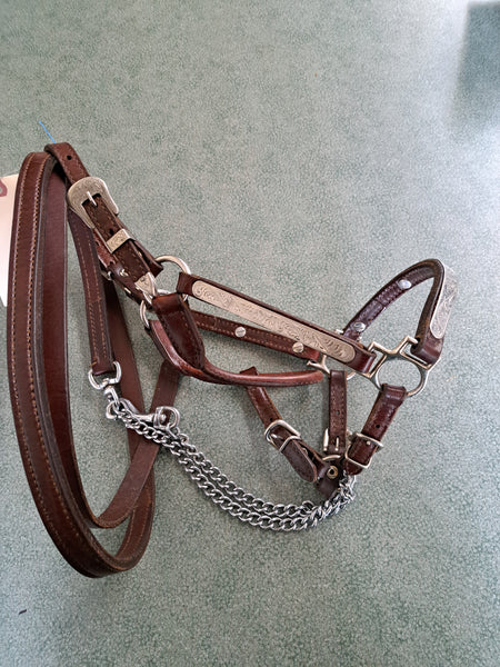 Circle Y Show Halter Pony