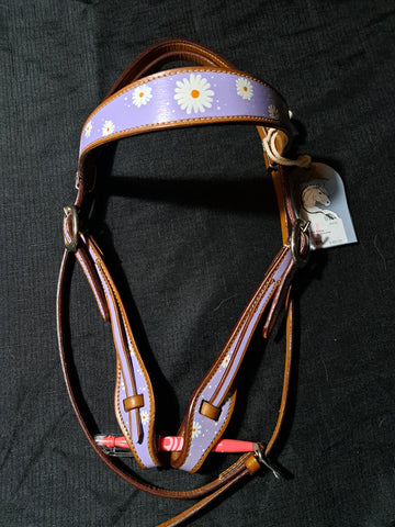 Custom Dun Dreams Headstall