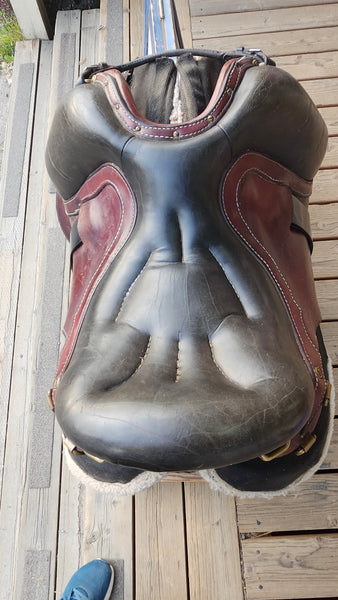 16" Ortho-Flex Endurance Saddle w/ Skito Booties