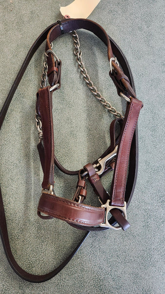 Circle Y Halter W/ Lead