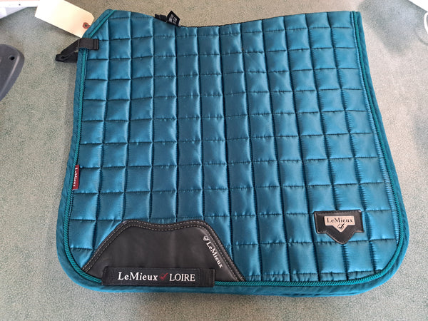 Lemieux Loire Dressage Bad