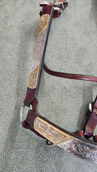 Dale Chavez Show Halter