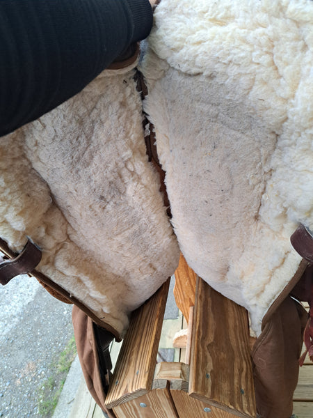 ON TRIAL 17" Circle Y Cordura Park & Trail Western Saddle