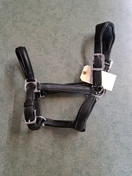 Lemieux Anatomical Halter - COB