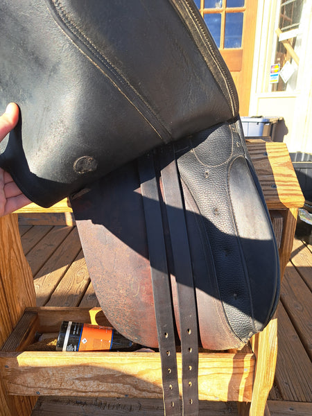 17" Kieffer Wien DL Dressage