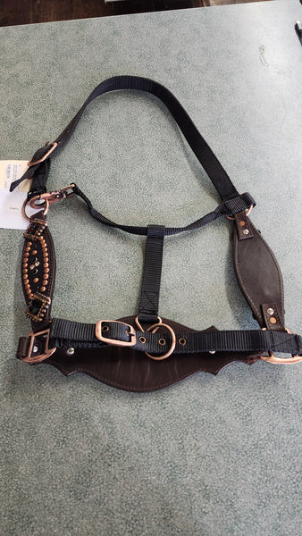 New Pistol Lilly Bronc Halter