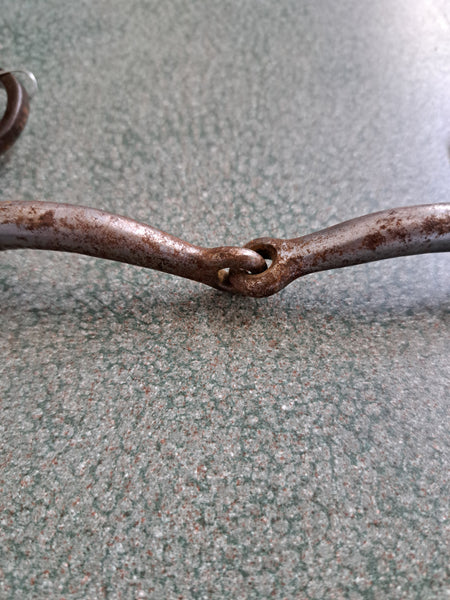 Western shanked bit with silver accents