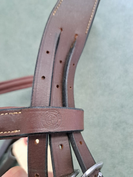 Full Arion Training Bridle