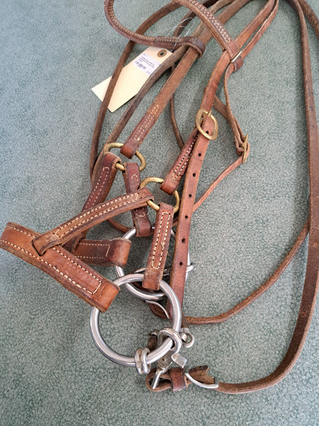 Hybrid Training Bridle