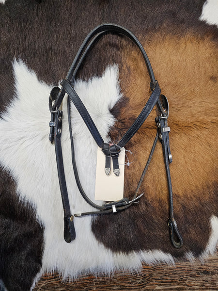 Dale Chavez bridle and breast collar set