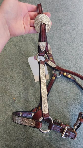 YEARLING Dale Chavez Show Halter