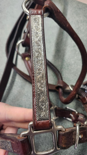 Weanling Show Halter with Lead