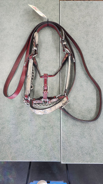 Dale Chavez Show Halter With Lead
