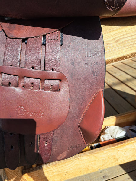 16.5" Dover Circuit Jump Saddle