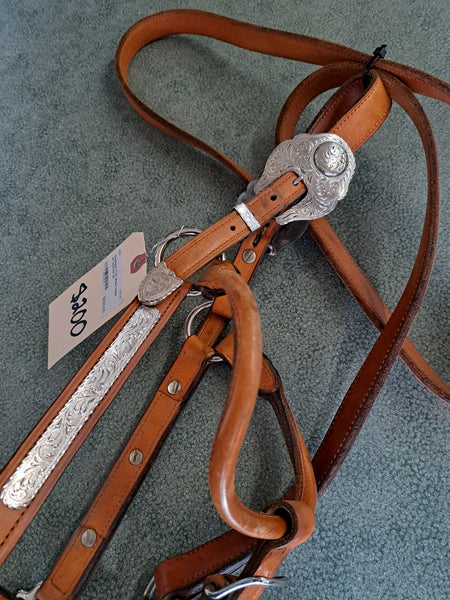 Champion Turf Show Halter
