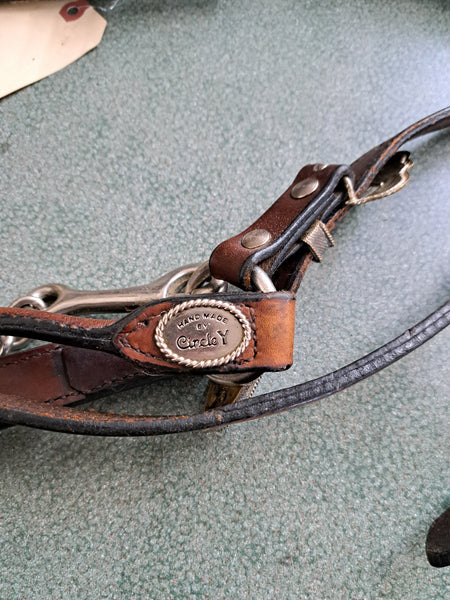 Circle Y Vintage Show halter