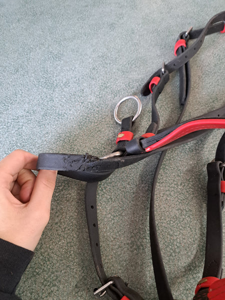 Dr Cook Biothane Bitless Bridle - COB