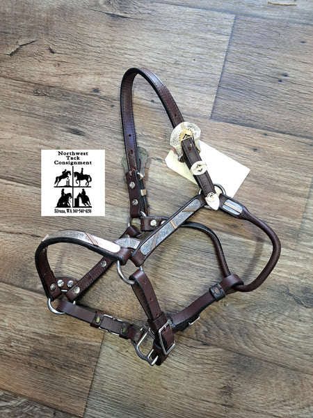 Yearling Circle Y Silver Show Halter