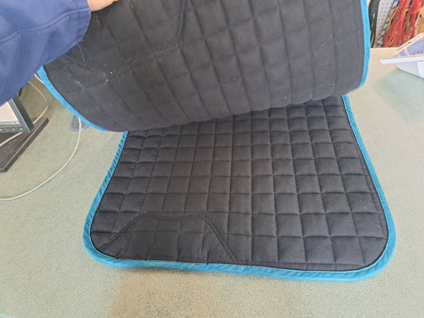 Lemieux Loire Dressage Bad
