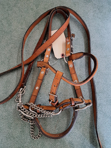 Silver Show Halter