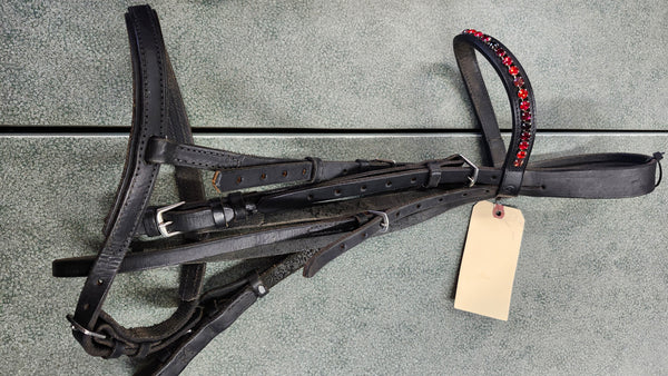 OVERSIZED Dressage bridle