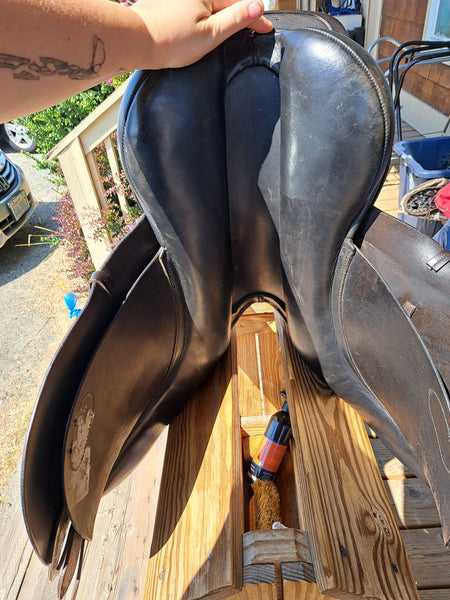 17" Albion Lengend