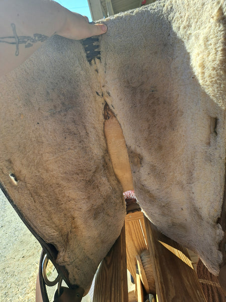 16" Circle Y Park & Trail Western Saddle