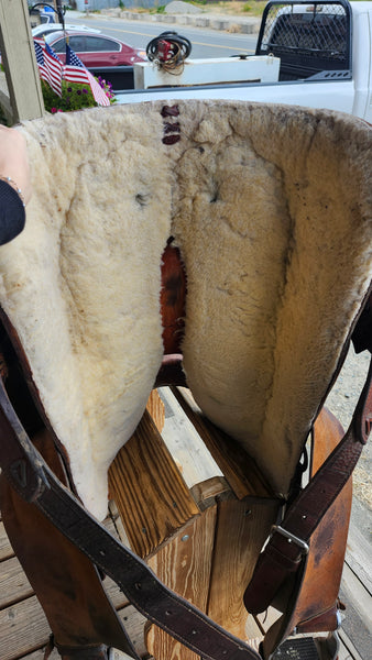15.5" Billy Cook Roping Saddle