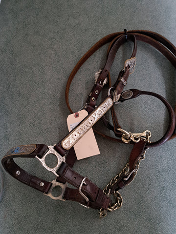 Circle Y Show Halter
