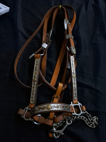 Tory leather show halter with lead