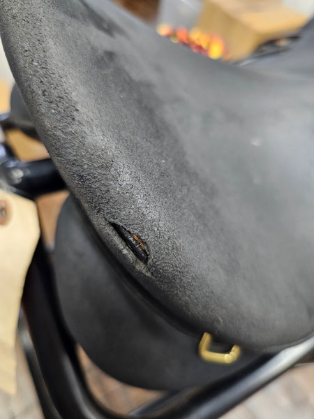 18" Wintec 2000 All Purpose English Saddle